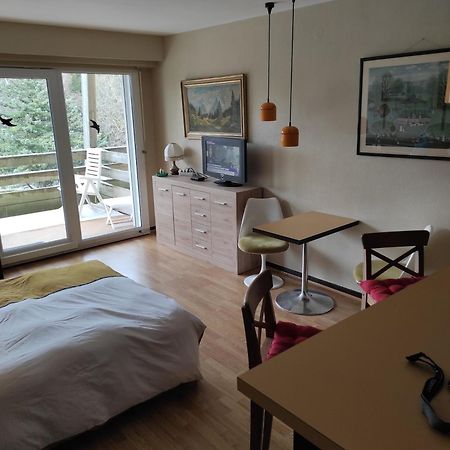 Grandfontaine  Residence Le Faucon - Col Du Donon מראה חיצוני תמונה