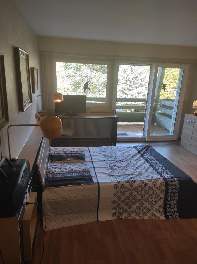 Grandfontaine  Residence Le Faucon - Col Du Donon מראה חיצוני תמונה